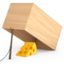 🪤
